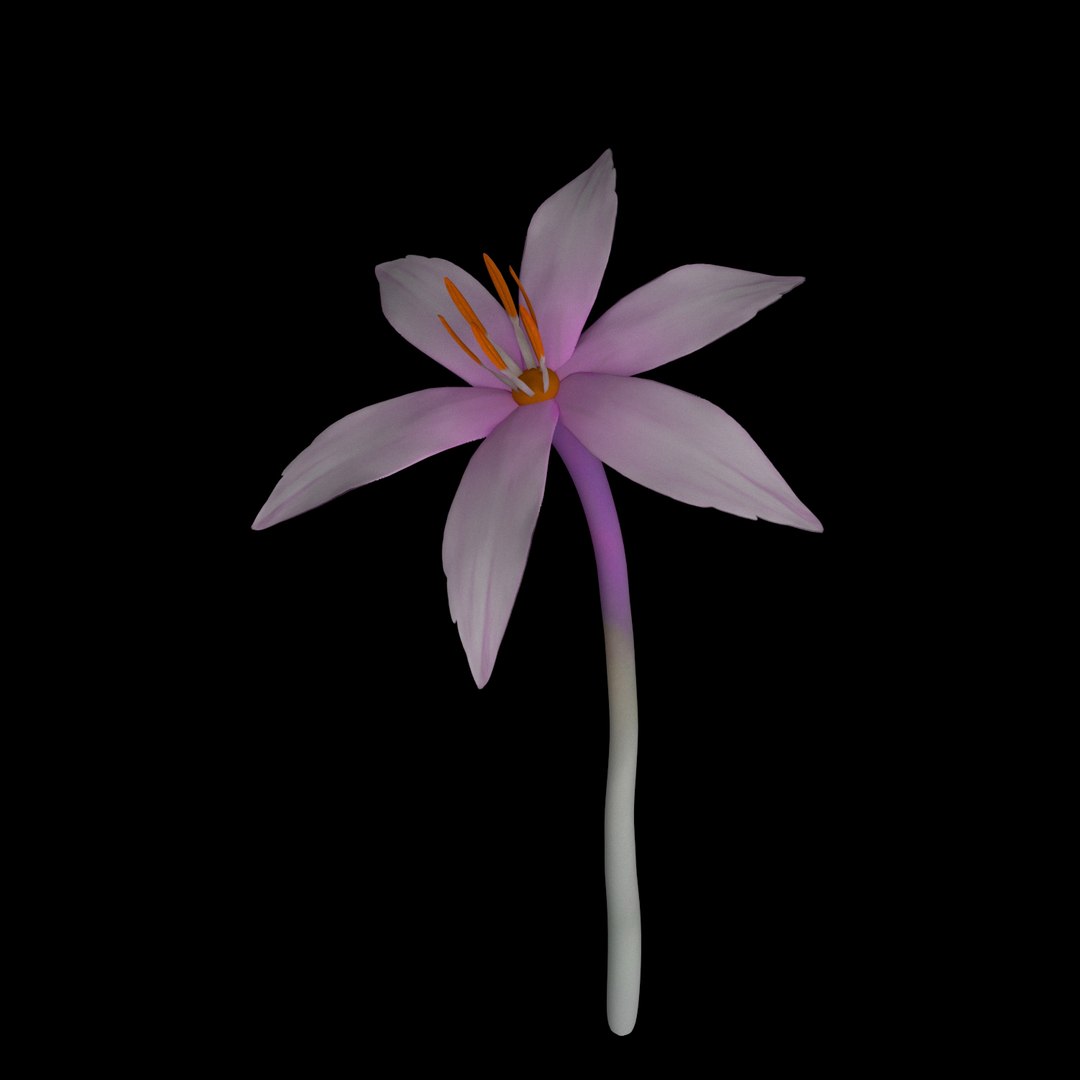 3D model flowers open animation https://p.turbosquid.com/ts-thumb/Ll/T1sAX3/qKy7i42g/011/jpg/1593949372/1920x1080/fit_q87/3a0e484d67a11cc38a90f21cfa0207bae4d84e6f/011.jpg