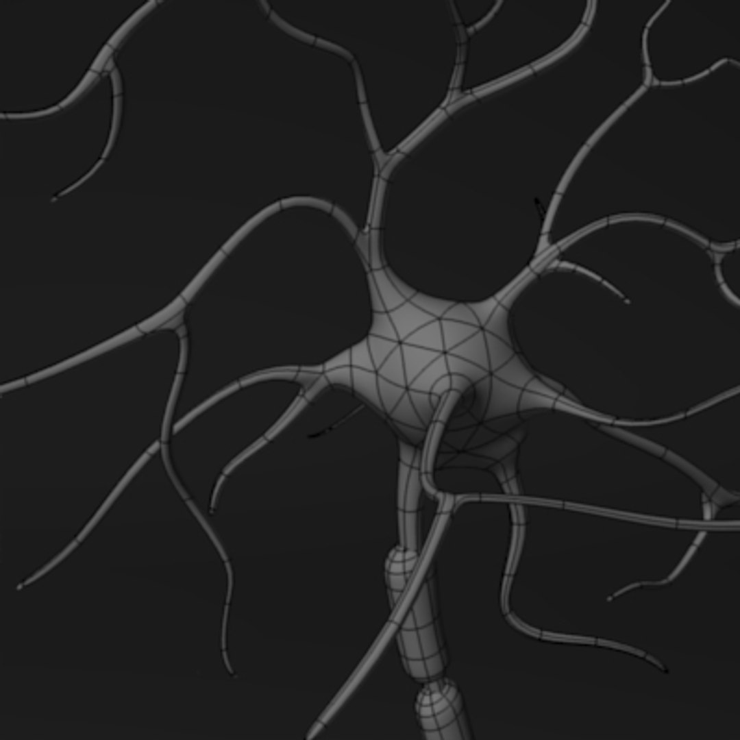 Neuron Cell 3d Model
