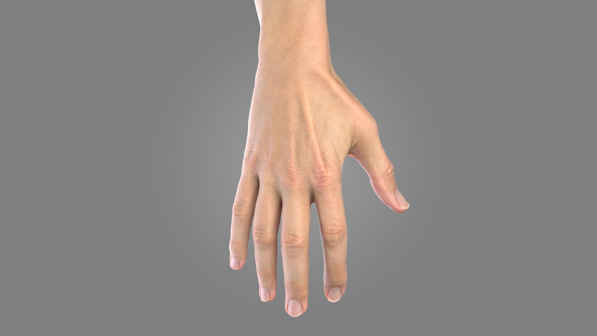 Multi Bare Arms Fully Rigged model https://p.turbosquid.com/ts-thumb/Ll/YAudhf/Wo/barearms_pro_male_1/png/1681808122/1920x1080/fit_q87/a15aa331d5baddd9e206cac8c903c384e4b7e2b7/barearms_pro_male_1.jpg