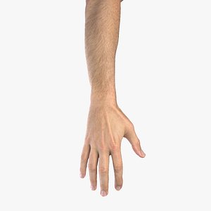 Multi Bare Arms Fully Rigged