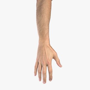 Multi Bare Arms Fully Rigged