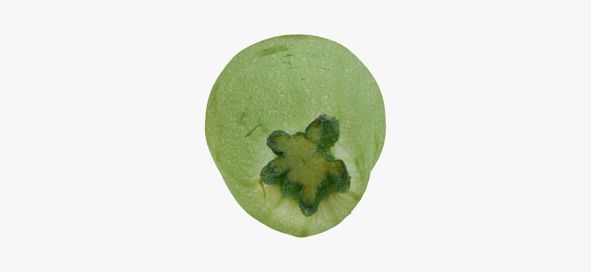 Zucchinis Collection 01 - 11 models RAW Scans 3D model https://p.turbosquid.com/ts-thumb/Ll/aBgK8i/1b/zucchinicousasquash03thumbnail07/jpg/1641308861/1920x1080/fit_q87/152253df1907fada3cf16ce15ec8f2701635c269/zucchinicousasquash03thumbnail07.jpg