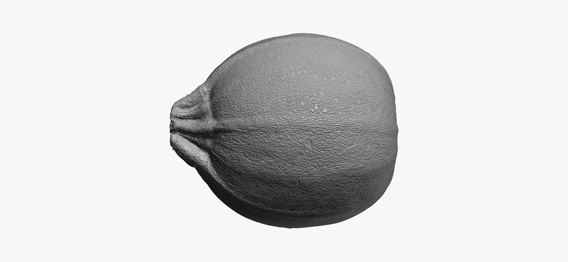 Zucchinis Collection 01 - 11 models RAW Scans 3D model https://p.turbosquid.com/ts-thumb/Ll/aBgK8i/2C/roundzucchini04thumbnail12/jpg/1641308939/1920x1080/fit_q87/f1f2a93b276fb741949048c991c50c04085c43de/roundzucchini04thumbnail12.jpg