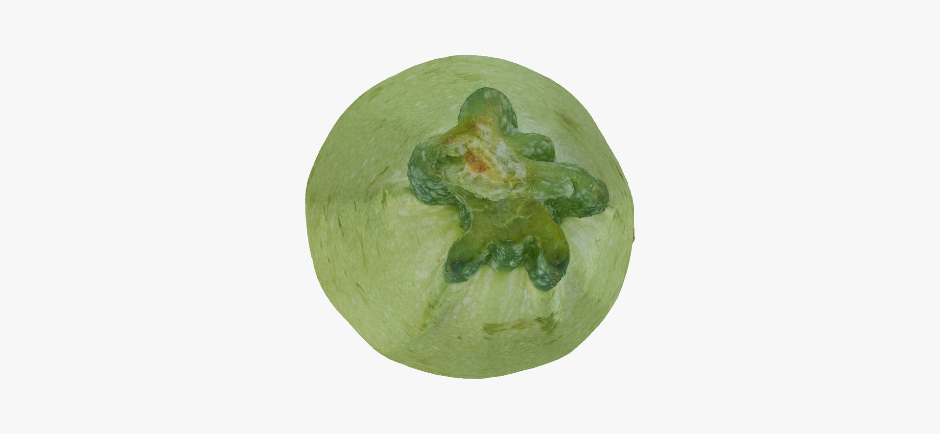 Zucchinis Collection 01 - 11 models RAW Scans 3D model https://p.turbosquid.com/ts-thumb/Ll/aBgK8i/4H/zucchinicousasquash01thumbnail09/jpg/1641308868/1920x1080/fit_q87/8493224749780db97c0f0bbb4b7fa4820e7394f0/zucchinicousasquash01thumbnail09.jpg