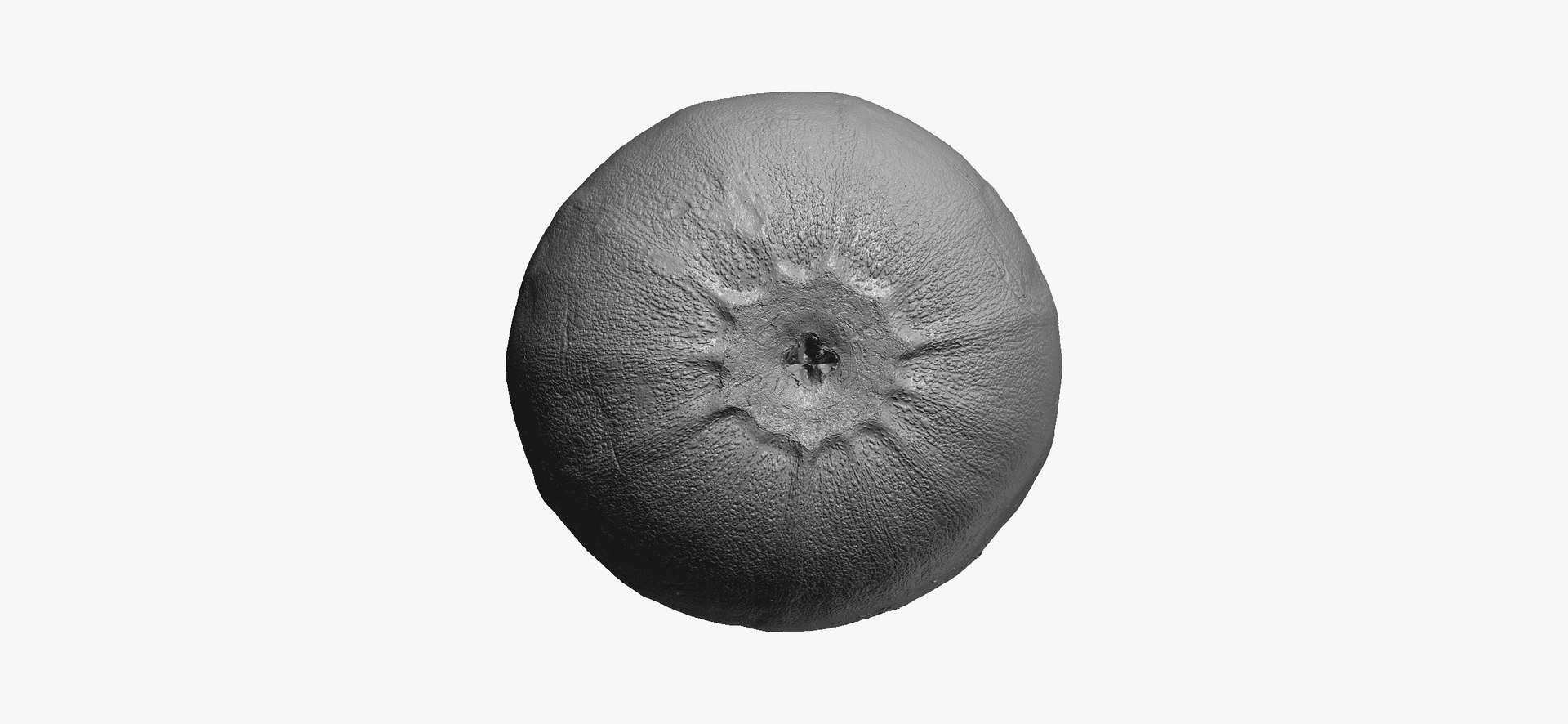 Zucchinis Collection 01 - 11 models RAW Scans 3D model https://p.turbosquid.com/ts-thumb/Ll/aBgK8i/4n/roundzucchini03thumbnail10/jpg/1641308924/1920x1080/fit_q87/012b580fc070912e74c6f81f75e68647bb75719d/roundzucchini03thumbnail10.jpg