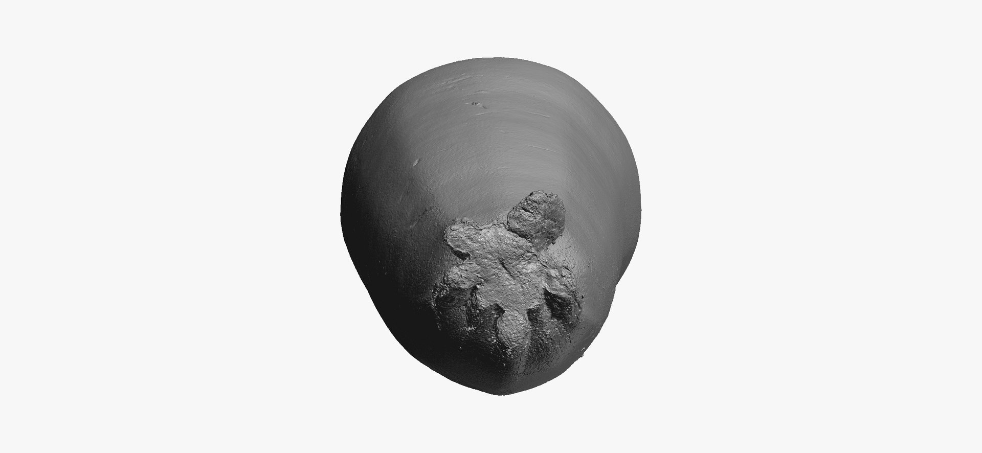 Zucchinis Collection 01 - 11 models RAW Scans 3D model https://p.turbosquid.com/ts-thumb/Ll/aBgK8i/94/zucchinicousasquash03thumbnail08/jpg/1641308927/1920x1080/fit_q87/abf874b242c8e530c35996e941ec2a57a48ba3cb/zucchinicousasquash03thumbnail08.jpg