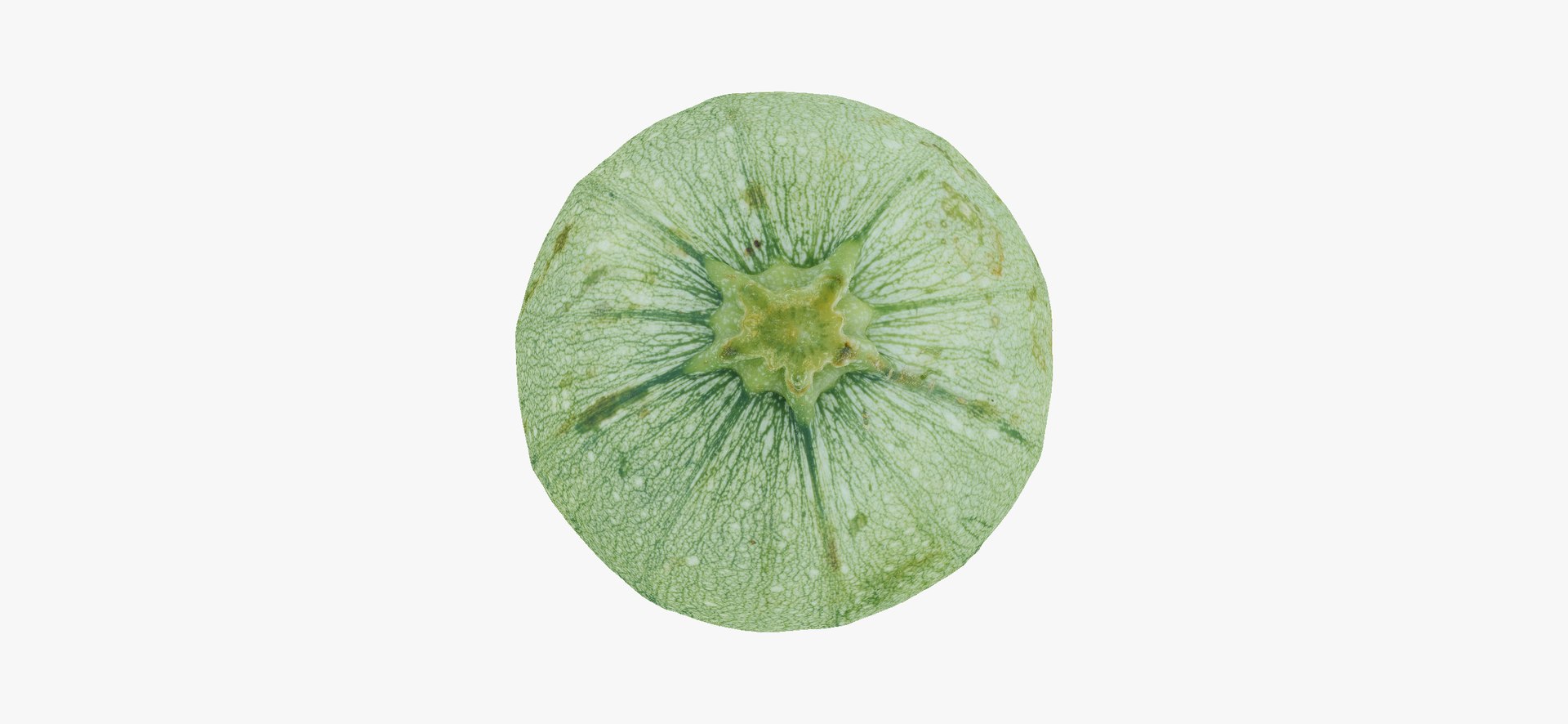 Zucchinis Collection 01 - 11 models RAW Scans 3D model https://p.turbosquid.com/ts-thumb/Ll/aBgK8i/9j/roundzucchini02thumbnail07/jpg/1641308870/1920x1080/fit_q87/8370dc548ff7ee810aac1b7b052c544058fed7e8/roundzucchini02thumbnail07.jpg