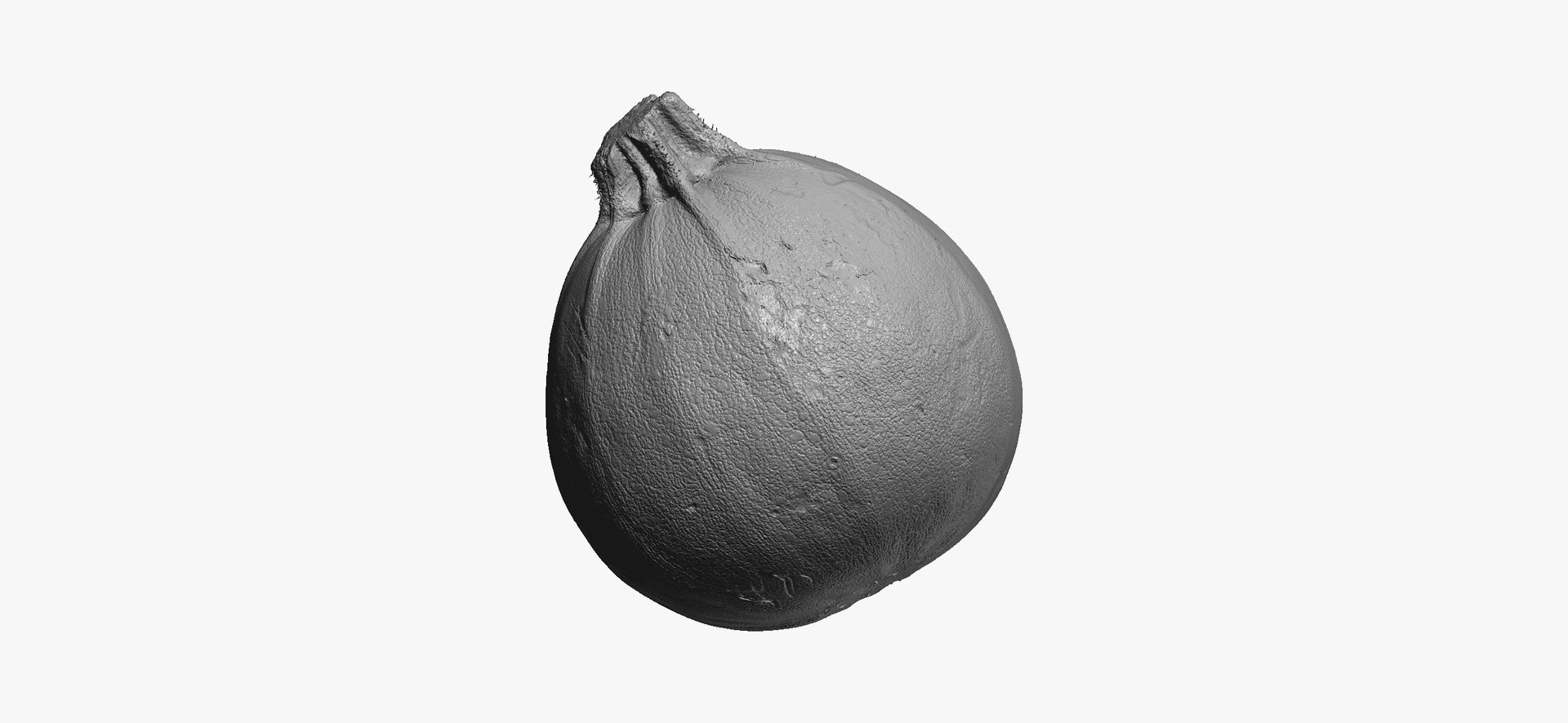 Zucchinis Collection 01 - 11 models RAW Scans 3D model https://p.turbosquid.com/ts-thumb/Ll/aBgK8i/Ab/roundzucchini05thumbnail05/jpg/1641308919/1920x1080/fit_q87/f53d4bcb45612fc0f57cf5572ba0c298e6c887ab/roundzucchini05thumbnail05.jpg