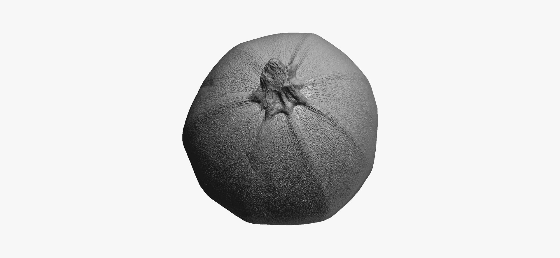Zucchinis Collection 01 - 11 models RAW Scans 3D model https://p.turbosquid.com/ts-thumb/Ll/aBgK8i/At/roundzucchini01thumbnail08/jpg/1641308925/1920x1080/fit_q87/2cc0d4985be3e94f967ad2dd74a4421e9a9794c7/roundzucchini01thumbnail08.jpg