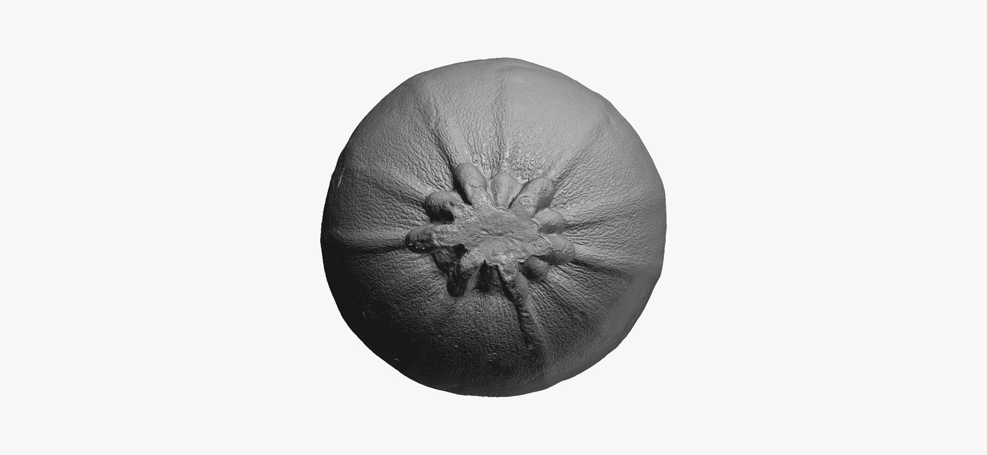 Zucchinis Collection 01 - 11 models RAW Scans 3D model https://p.turbosquid.com/ts-thumb/Ll/aBgK8i/Gx/roundzucchini03thumbnail08/jpg/1641308924/1920x1080/fit_q87/8f298b645bb4299734539a39c2baa33eece3534c/roundzucchini03thumbnail08.jpg