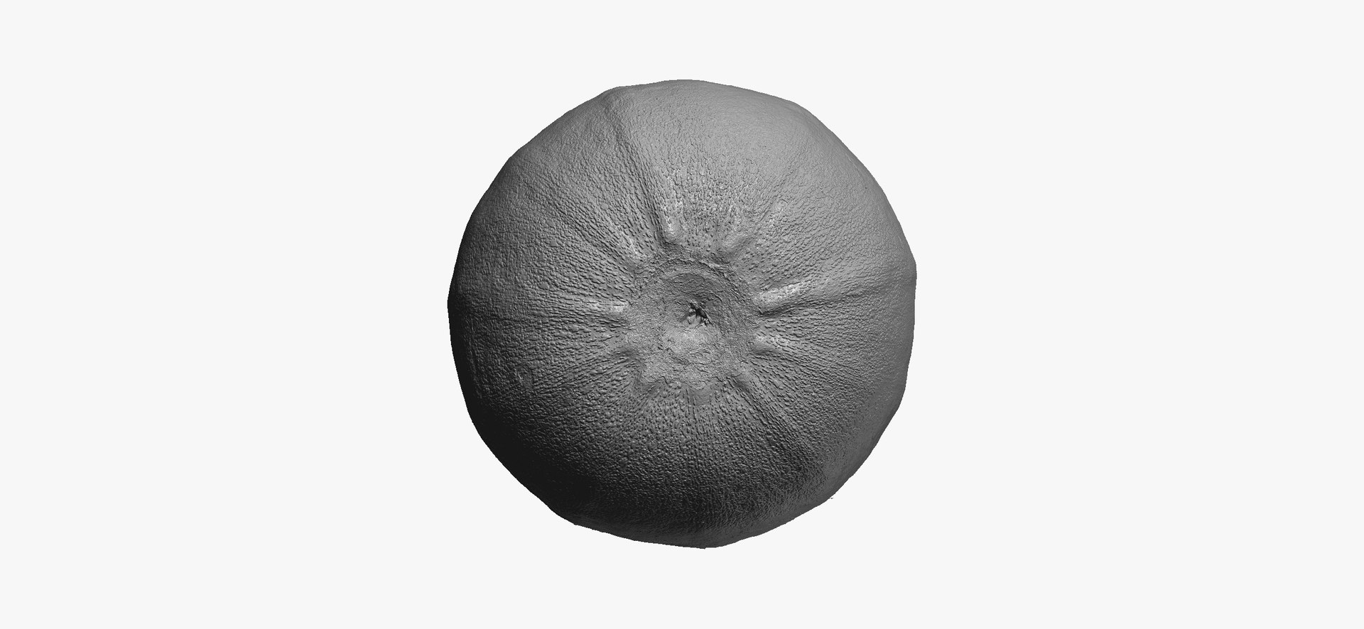 Zucchinis Collection 01 - 11 models RAW Scans 3D model https://p.turbosquid.com/ts-thumb/Ll/aBgK8i/Hr/roundzucchini04thumbnail10/jpg/1641308933/1920x1080/fit_q87/9d8151c135fb63d511af92659b310dacdffa0ed2/roundzucchini04thumbnail10.jpg