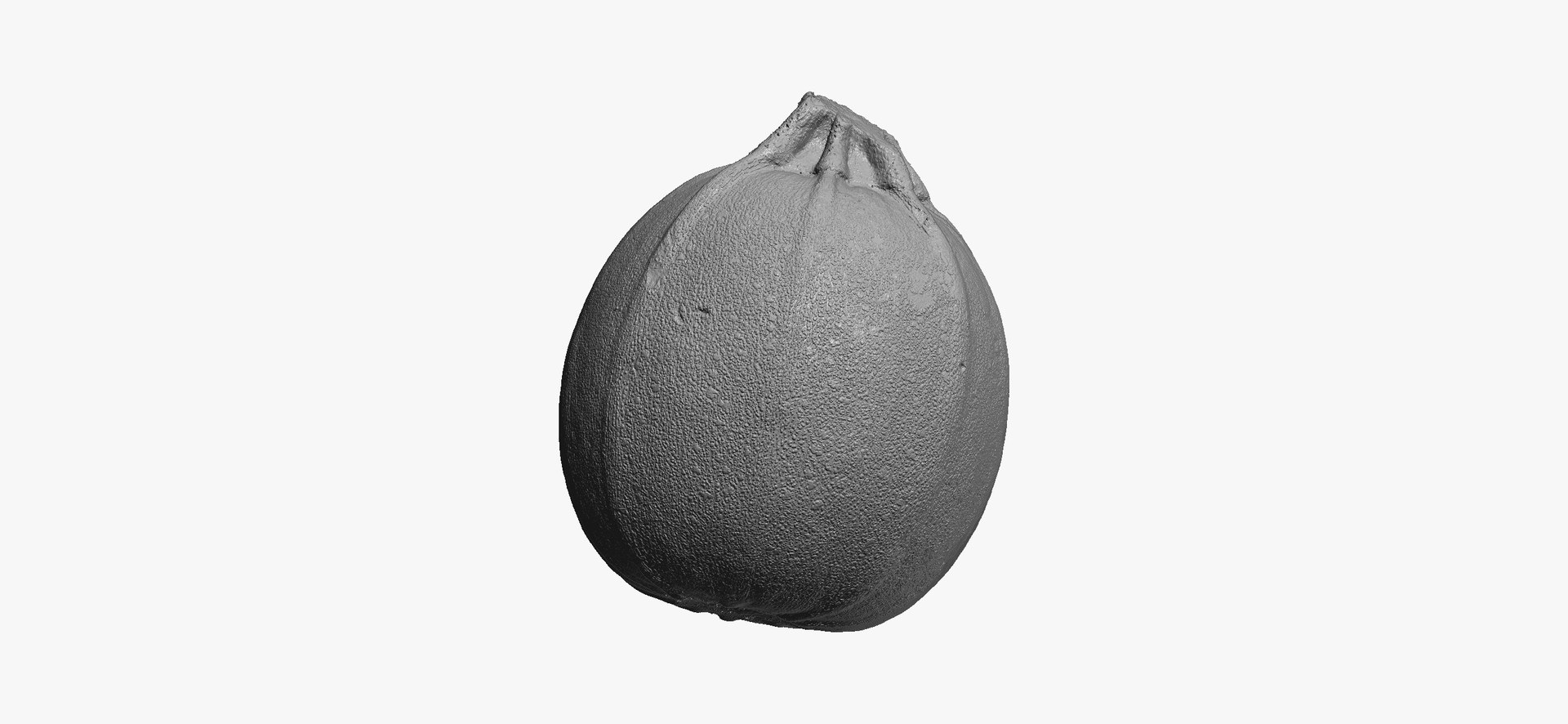Zucchinis Collection 01 - 11 models RAW Scans 3D model https://p.turbosquid.com/ts-thumb/Ll/aBgK8i/Io/roundzucchini04thumbnail02/jpg/1641308924/1920x1080/fit_q87/e72df51ae7023ac457f9702d3d9b317ce34d28ba/roundzucchini04thumbnail02.jpg
