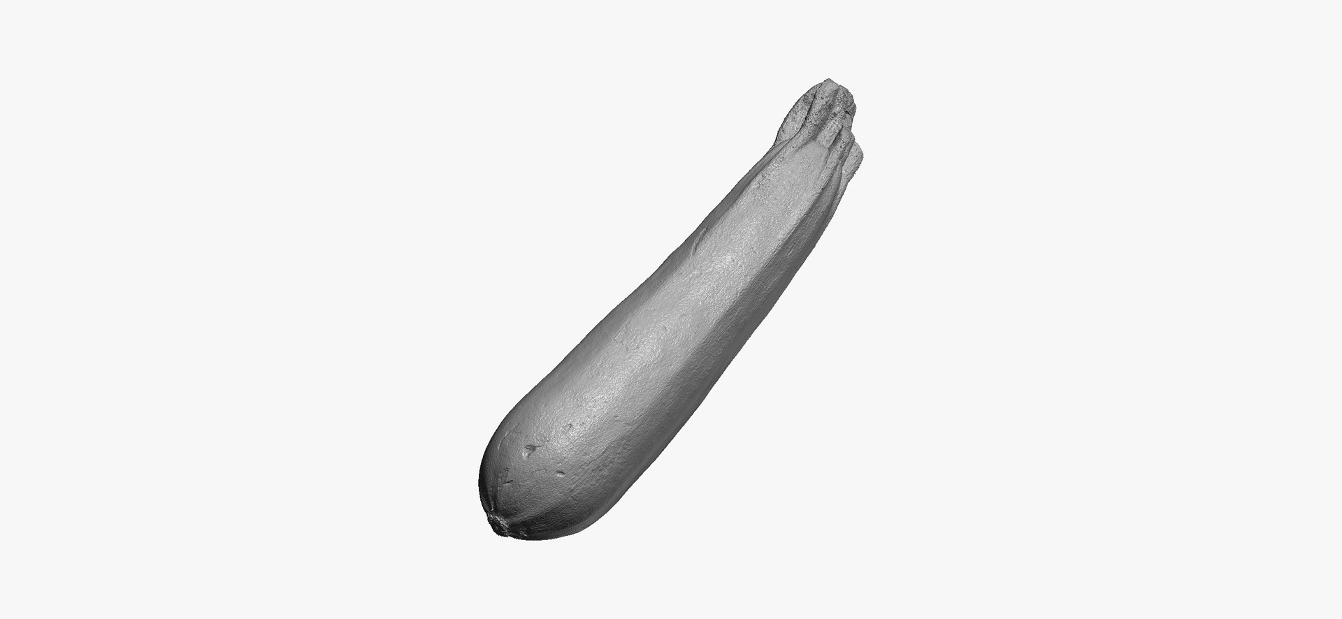 Zucchinis Collection 01 - 11 models RAW Scans 3D model https://p.turbosquid.com/ts-thumb/Ll/aBgK8i/Kr/zucchinicousasquash01thumbnail02/jpg/1641308937/1920x1080/fit_q87/5933754206a27aafa10cc422b1579f80ad5c9c1c/zucchinicousasquash01thumbnail02.jpg