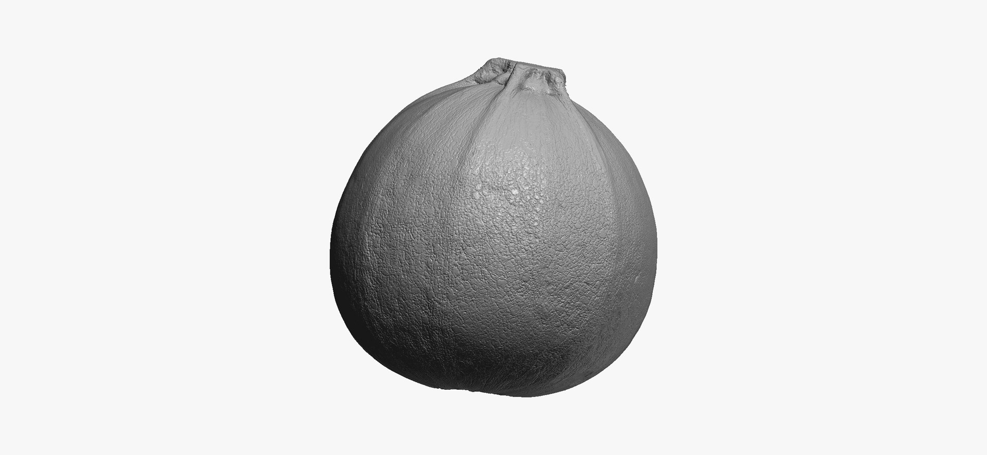 Zucchinis Collection 01 - 11 models RAW Scans 3D model https://p.turbosquid.com/ts-thumb/Ll/aBgK8i/Ld/roundzucchini02thumbnail02/jpg/1641308924/1920x1080/fit_q87/f0f4951712b98a2ff494570355d3a9c551fb1395/roundzucchini02thumbnail02.jpg