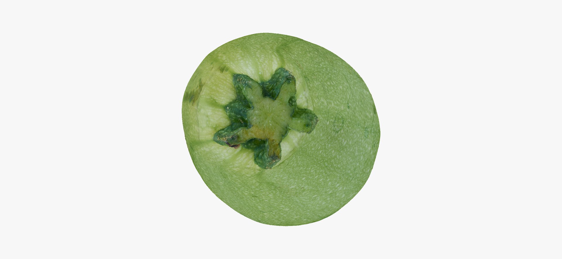 Zucchinis Collection 01 - 11 models RAW Scans 3D model https://p.turbosquid.com/ts-thumb/Ll/aBgK8i/St/zucchinicousasquash04thumbnail07/jpg/1641308867/1920x1080/fit_q87/4e9a51dc495c7a5621b9b8601d4c497916917391/zucchinicousasquash04thumbnail07.jpg