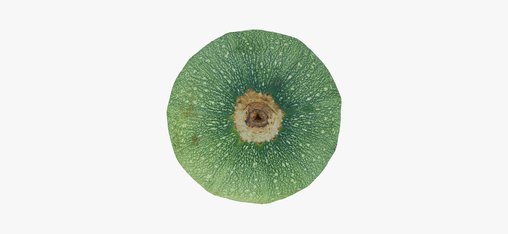 Zucchinis Collection 01 - 11 models RAW Scans 3D model https://p.turbosquid.com/ts-thumb/Ll/aBgK8i/VQ/roundzucchini04thumbnail09/jpg/1641308875/1920x1080/fit_q87/26d8819cf0b3fe871cb18be8564d0fdf7c652d92/roundzucchini04thumbnail09.jpg