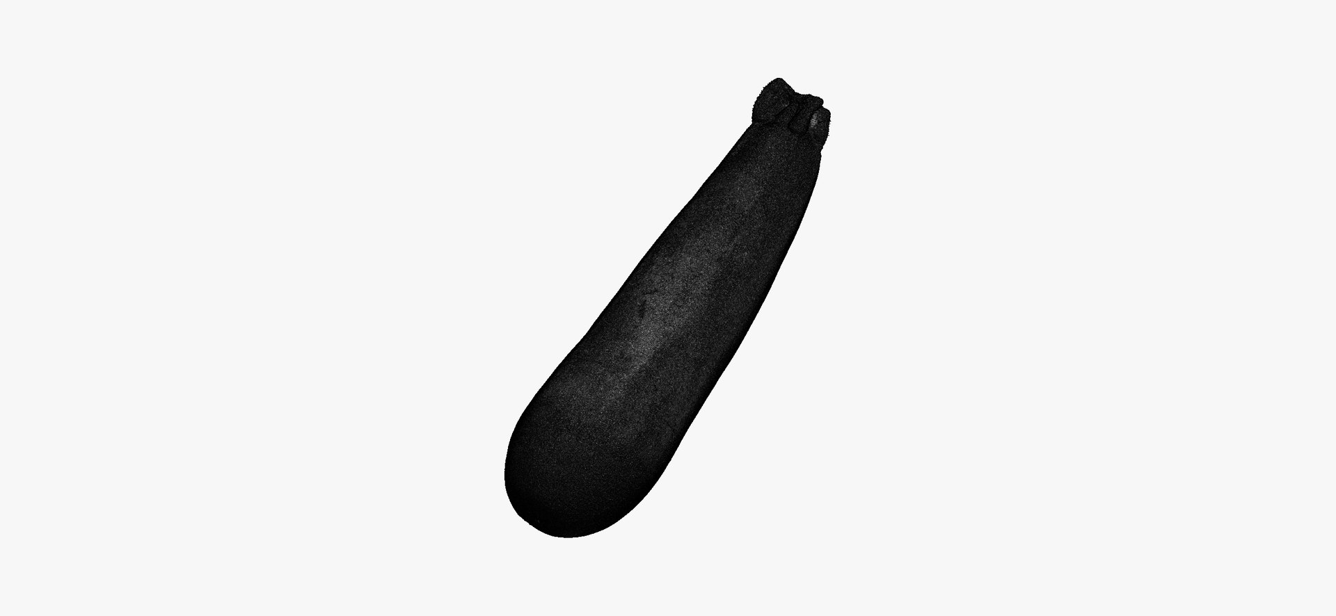 Zucchinis Collection 01 - 11 models RAW Scans 3D model https://p.turbosquid.com/ts-thumb/Ll/aBgK8i/XL/zucchinicousasquash03wireframe01/jpg/1641309022/1920x1080/fit_q87/e2bc325bc474f5e02a47f400b10a9e7ff93669b1/zucchinicousasquash03wireframe01.jpg