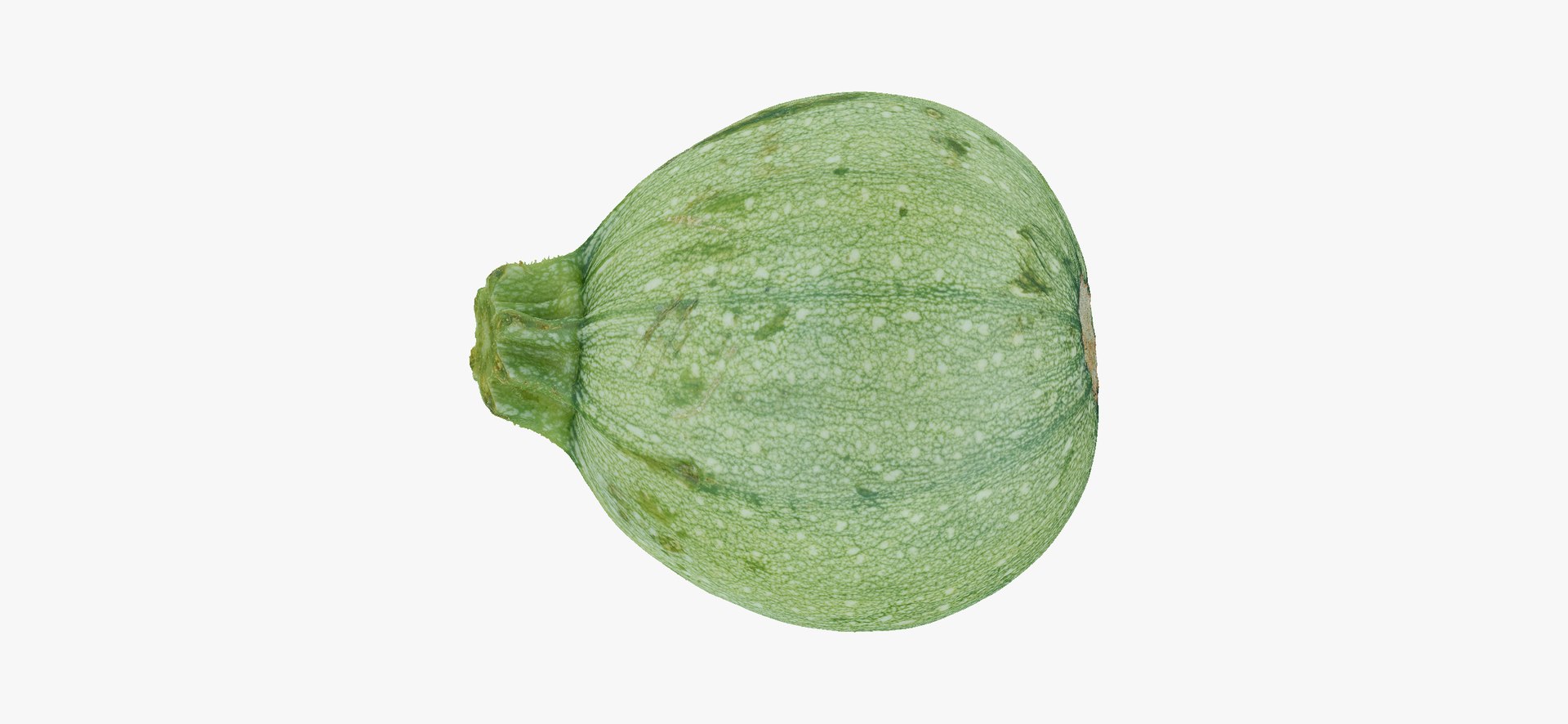 Zucchinis Collection 01 - 11 models RAW Scans 3D model https://p.turbosquid.com/ts-thumb/Ll/aBgK8i/bo/roundzucchini05thumbnail11/jpg/1641308868/1920x1080/fit_q87/adf57883998e6f8a95d26f79bc1cbdf53cdd7703/roundzucchini05thumbnail11.jpg