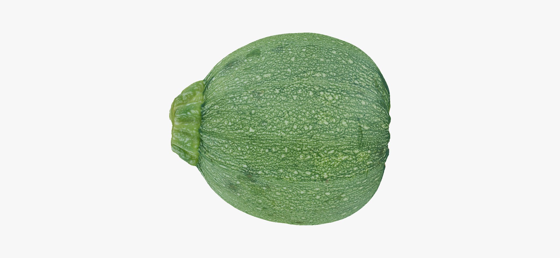 Zucchinis Collection 01 - 11 models RAW Scans 3D model https://p.turbosquid.com/ts-thumb/Ll/aBgK8i/cC/roundzucchini03thumbnail11/jpg/1641308876/1920x1080/fit_q87/dea721c3ac2853754297fe1a9b54e5d38d92875e/roundzucchini03thumbnail11.jpg