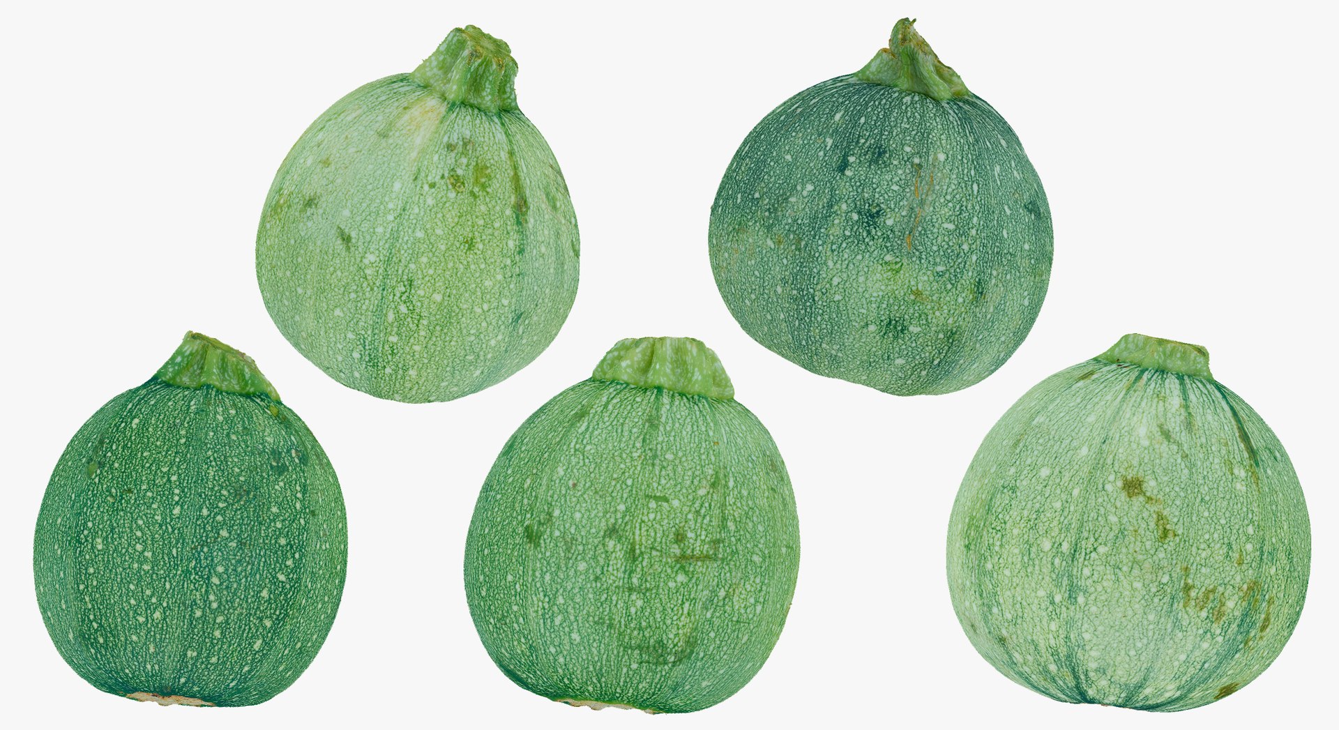 Zucchinis Collection 01 - 11 models RAW Scans 3D model https://p.turbosquid.com/ts-thumb/Ll/aBgK8i/cN/20a/jpg/1641308591/1920x1080/fit_q87/0bbfb55cc924aea0a98066f223cf19e35dfc5ba2/20a.jpg
