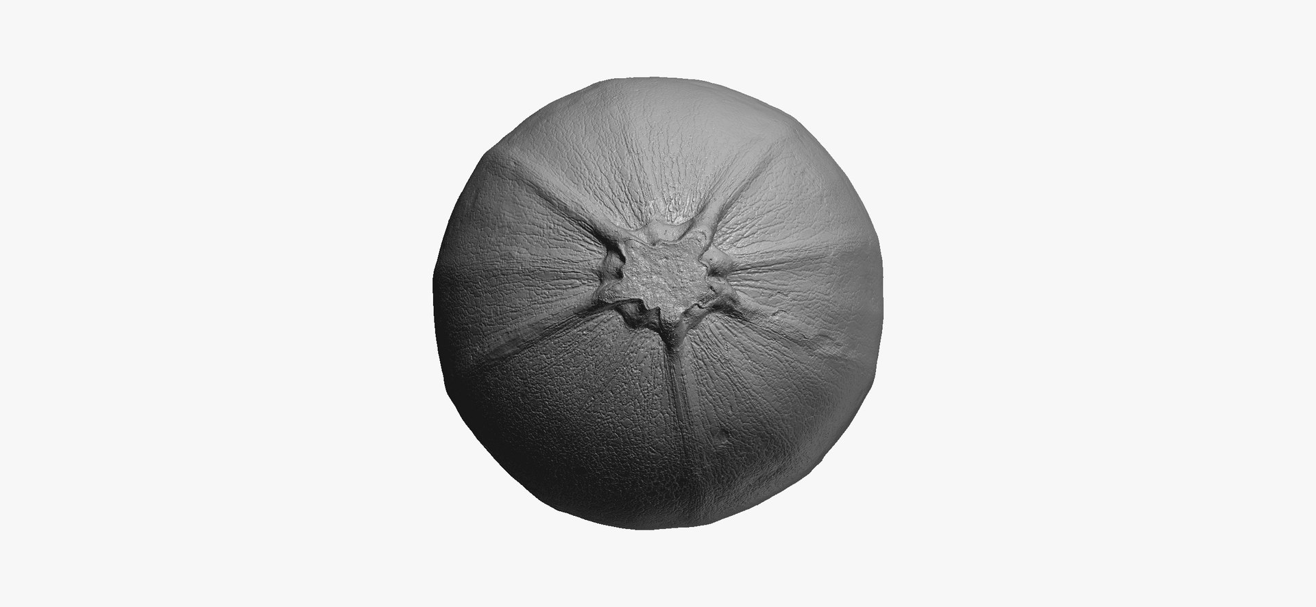 Zucchinis Collection 01 - 11 models RAW Scans 3D model https://p.turbosquid.com/ts-thumb/Ll/aBgK8i/ct/roundzucchini02thumbnail08/jpg/1641308916/1920x1080/fit_q87/6fcac9c8f73d686f901c52083fea841713900393/roundzucchini02thumbnail08.jpg