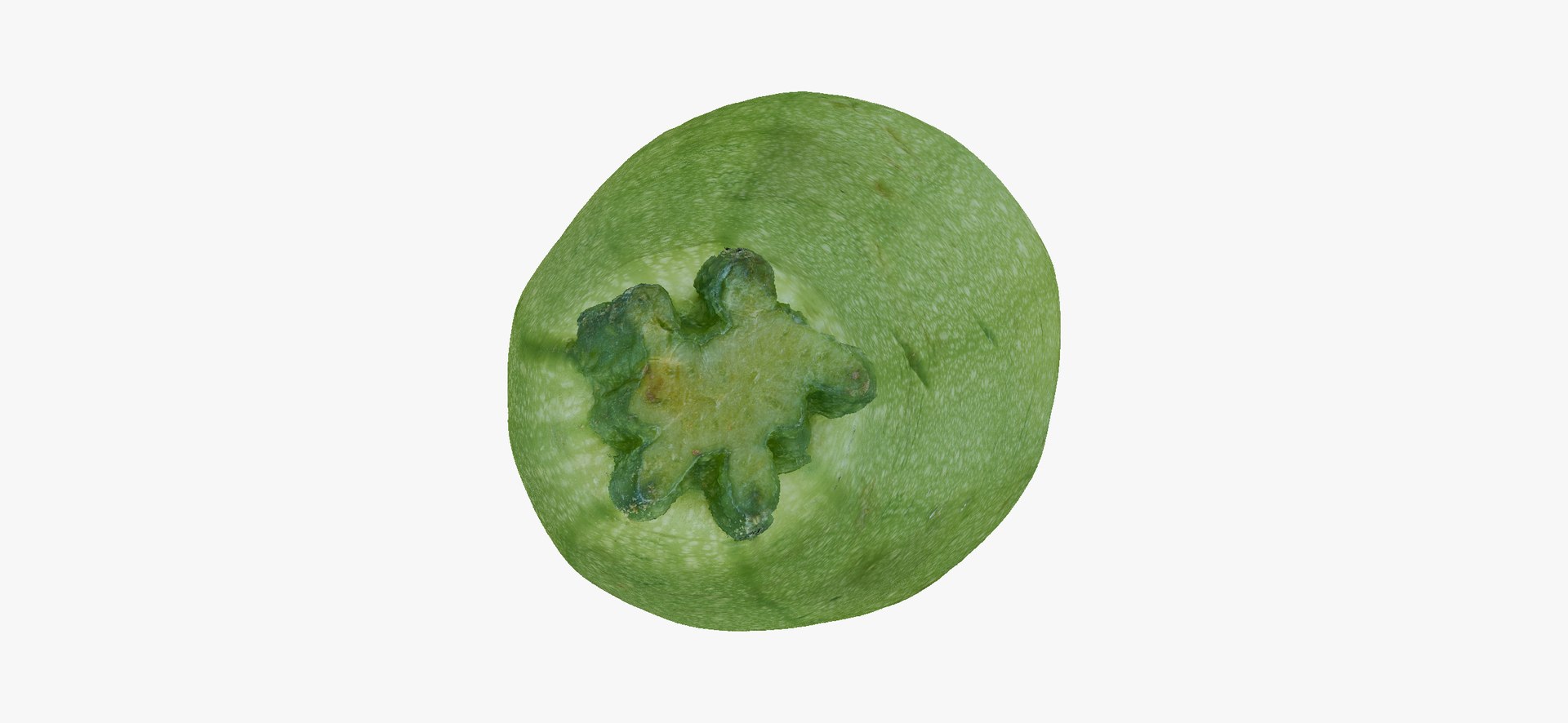 Zucchinis Collection 01 - 11 models RAW Scans 3D model https://p.turbosquid.com/ts-thumb/Ll/aBgK8i/fE/zucchinicousasquash02thumbnail07/jpg/1641308864/1920x1080/fit_q87/caa87d3fa94dbefc168d5b1681b06d8e0d1502c9/zucchinicousasquash02thumbnail07.jpg