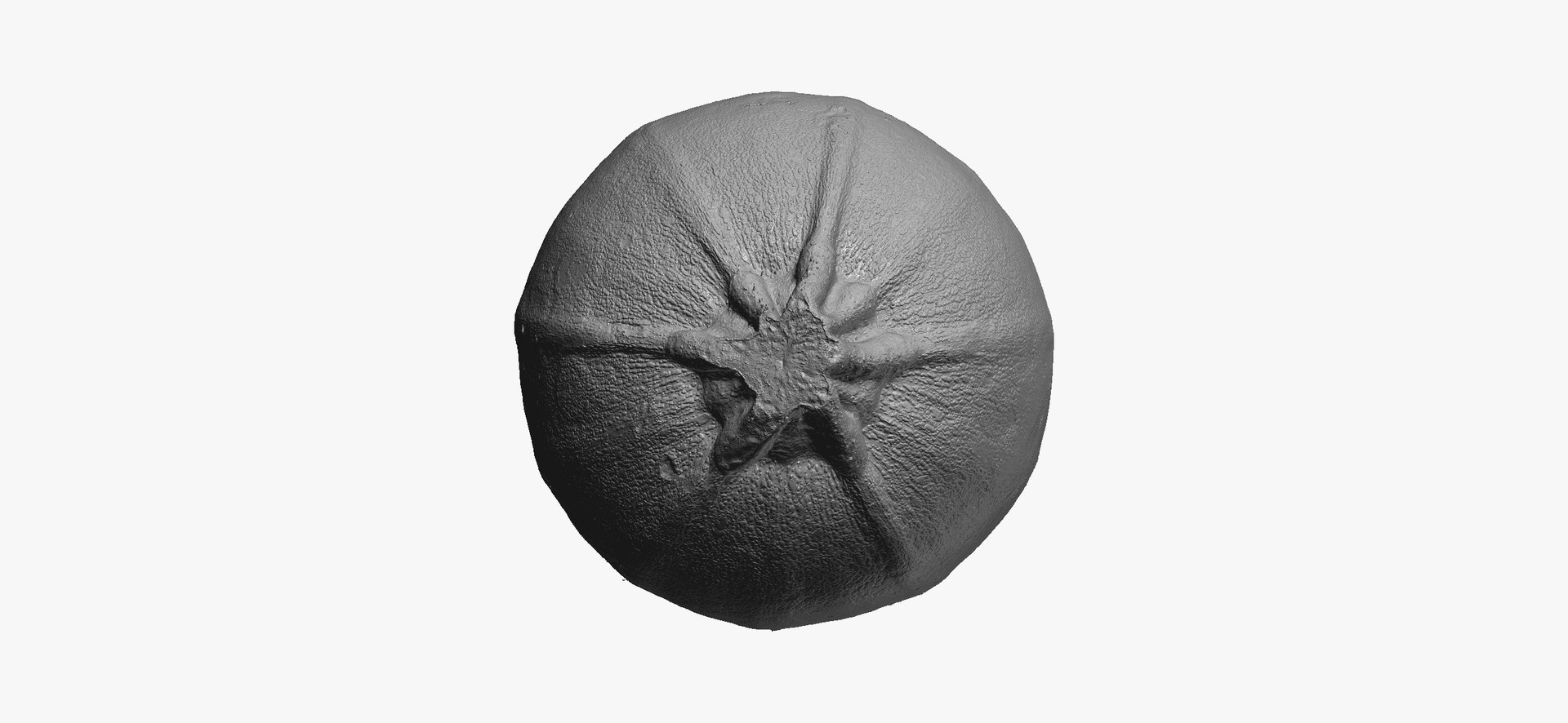 Zucchinis Collection 01 - 11 models RAW Scans 3D model https://p.turbosquid.com/ts-thumb/Ll/aBgK8i/og/roundzucchini04thumbnail08/jpg/1641308925/1920x1080/fit_q87/9a41f77d80cef996ce224d7323569dc502a572db/roundzucchini04thumbnail08.jpg