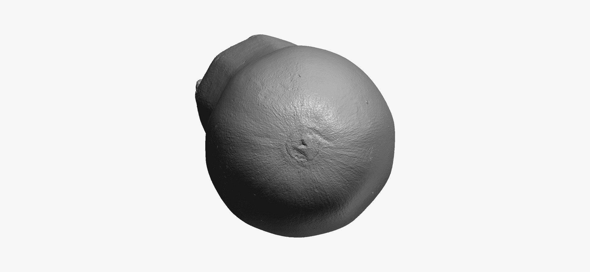 Zucchinis Collection 01 - 11 models RAW Scans 3D model https://p.turbosquid.com/ts-thumb/Ll/aBgK8i/qj/zucchinicousasquash05thumbnail10/jpg/1641308932/1920x1080/fit_q87/39726a59d6a818ee22cded3bdf5f050c9f20422e/zucchinicousasquash05thumbnail10.jpg