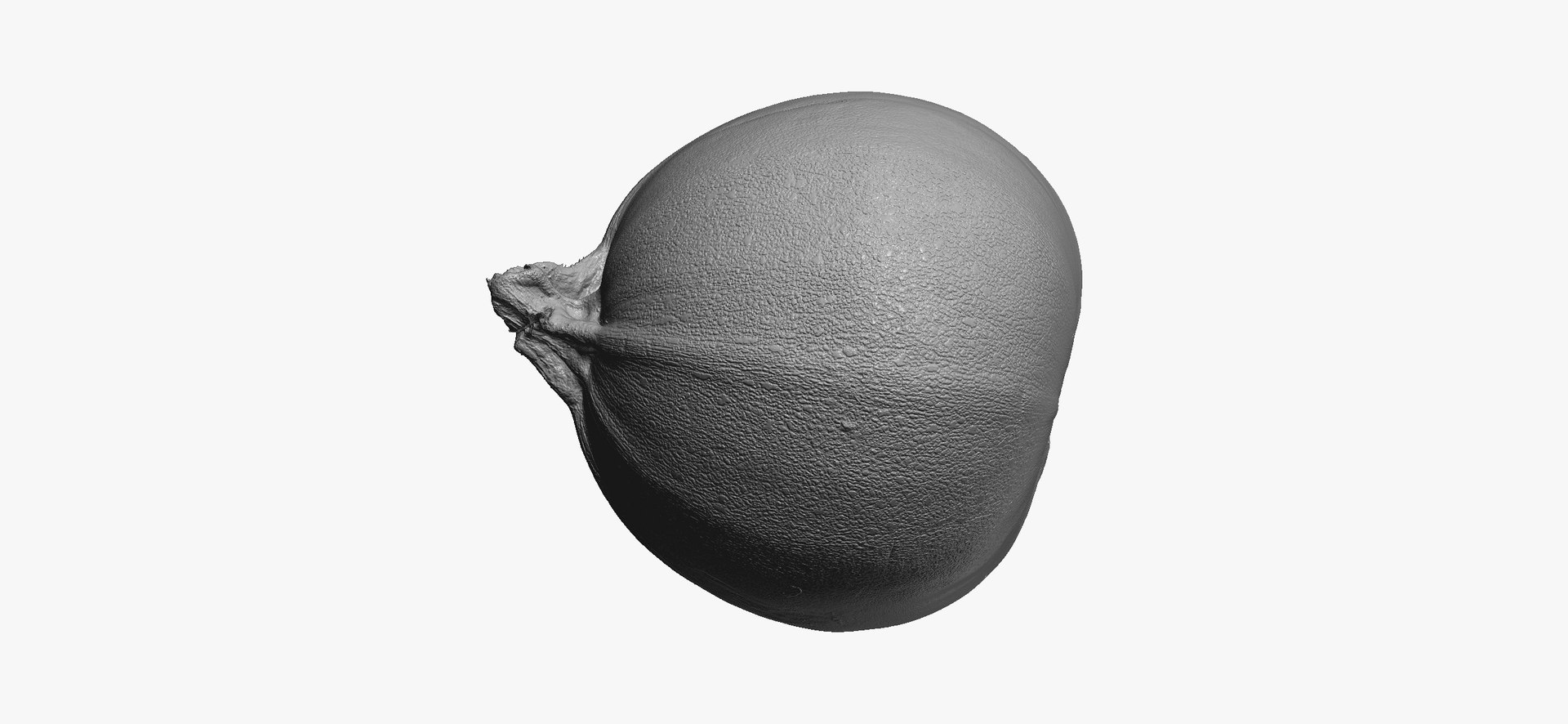 Zucchinis Collection 01 - 11 models RAW Scans 3D model https://p.turbosquid.com/ts-thumb/Ll/aBgK8i/xg/roundzucchini01thumbnail12/jpg/1641308925/1920x1080/fit_q87/14e1f88b7978e40de967c31d3ea230d77924a503/roundzucchini01thumbnail12.jpg