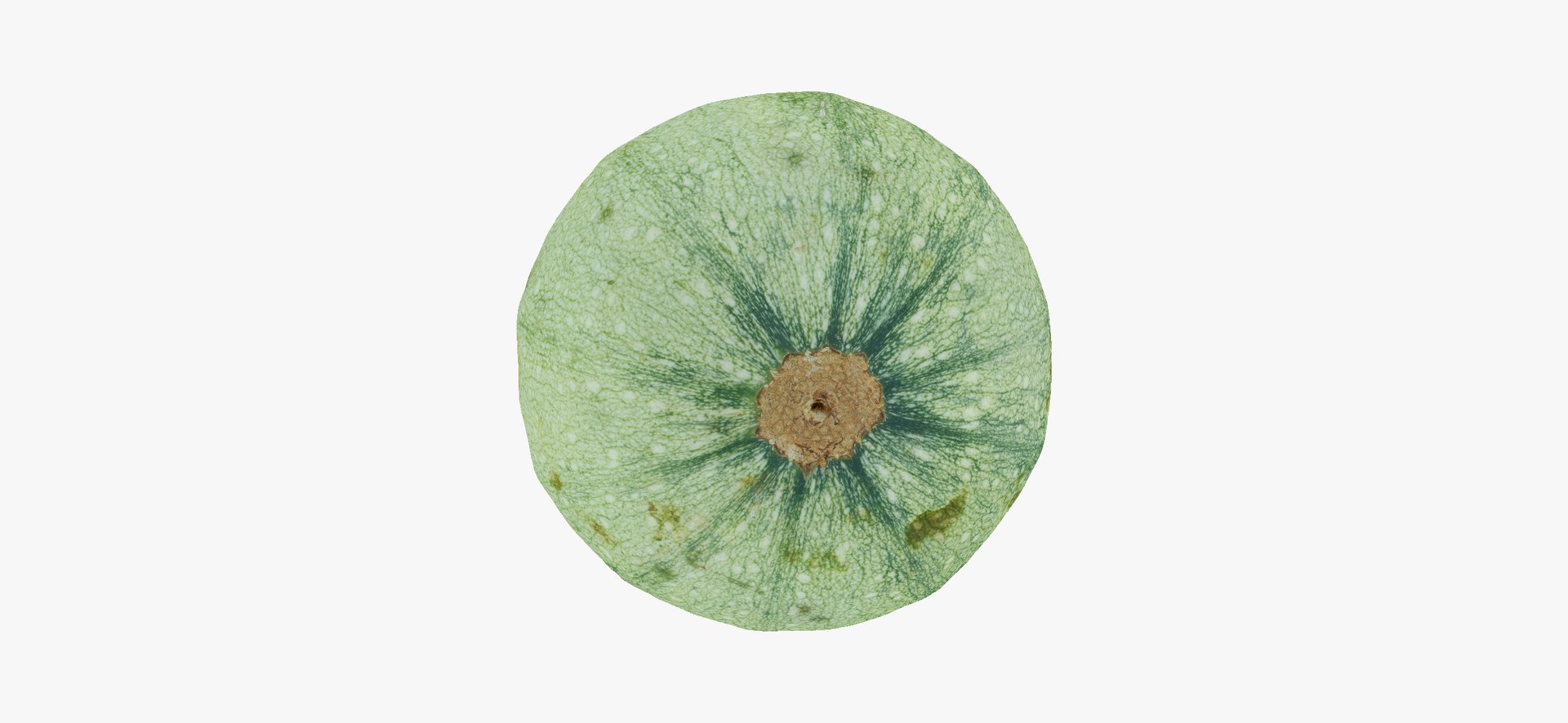Zucchinis Collection 01 - 11 models RAW Scans 3D model https://p.turbosquid.com/ts-thumb/Ll/aBgK8i/zP/roundzucchini02thumbnail09/jpg/1641308874/1920x1080/fit_q87/84fb20130b244f53242f651915d72f237095d126/roundzucchini02thumbnail09.jpg