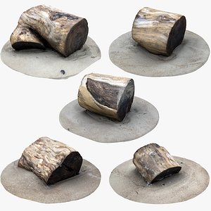 3D rustic wood stumps model