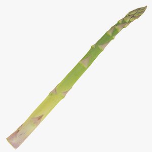 asparagus 01 raw scan model