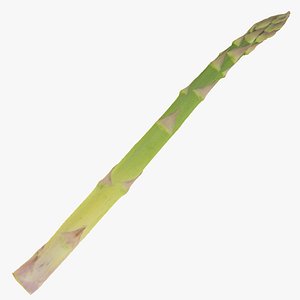 Asparagus 01 RAW Scan