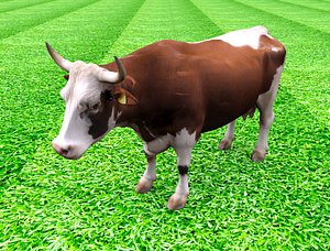 Realistic Cow 3D Model