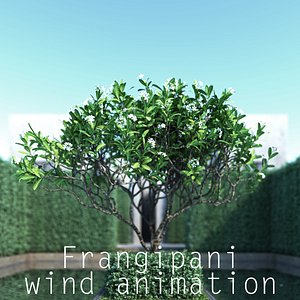 3d model trunk wind animation