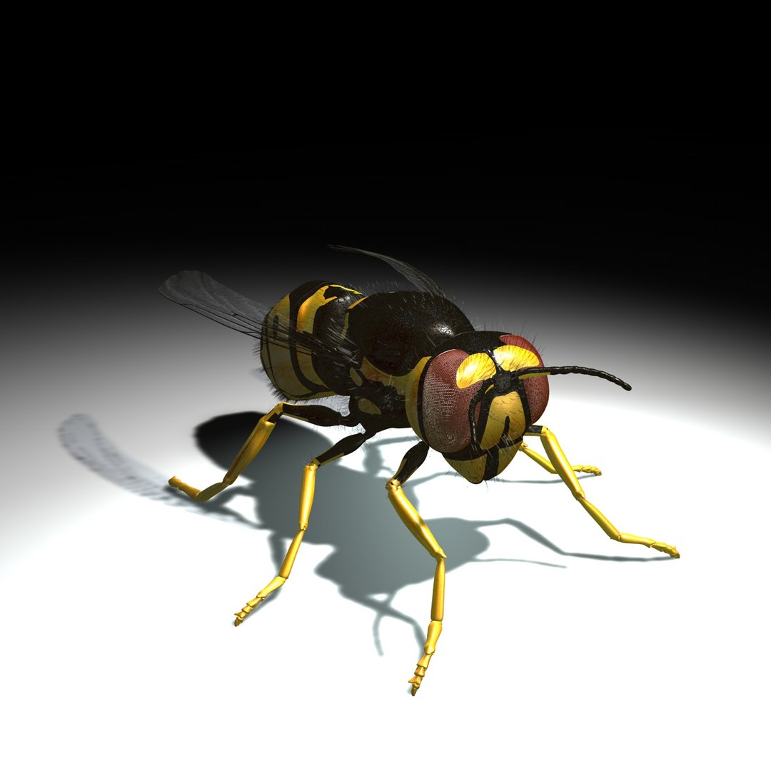 3d vespula vulgaris https://p.turbosquid.com/ts-thumb/Lm/F3sIXS/BACRa7hS/vespulavulgarisv2gfcm02a/jpg/1317736822/1920x1080/fit_q87/f1c6212638700a3f4c6f62df64320a6effad090e/vespulavulgarisv2gfcm02a.jpg