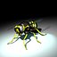 Vespula Vulgaris