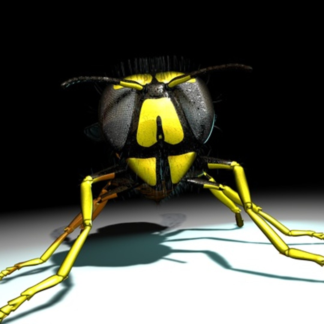 3d vespula vulgaris https://p.turbosquid.com/ts-thumb/Lm/F3sIXS/Gzg5VkbS/newwasp02a/jpg/1279889063/1920x1080/fit_q87/594b1bf9b2c8147220232653a8e6cf402ef51682/newwasp02a.jpg