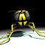 Vespula Vulgaris