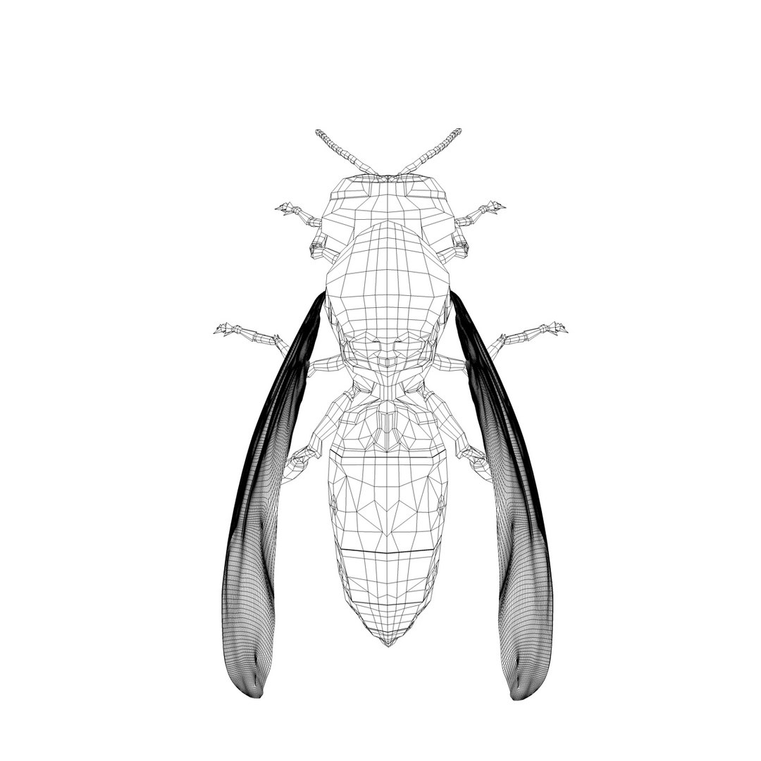 3d vespula vulgaris https://p.turbosquid.com/ts-thumb/Lm/F3sIXS/K2WcXexk/vespulavulgarisv2gfcmwire01b/jpg/1317736822/1920x1080/fit_q87/caae4e575ffd175c9ac5441dd055897e7d284c19/vespulavulgarisv2gfcmwire01b.jpg