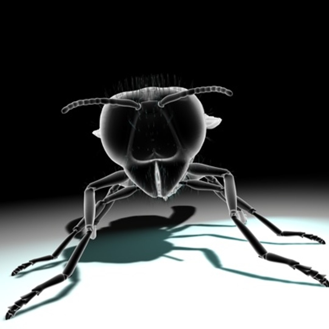 3d vespula vulgaris https://p.turbosquid.com/ts-thumb/Lm/F3sIXS/llZRySMC/newwasp03b/jpg/1279889063/1920x1080/fit_q87/c25432a303beb15e20f921e32d4f0bf7deac49fc/newwasp03b.jpg
