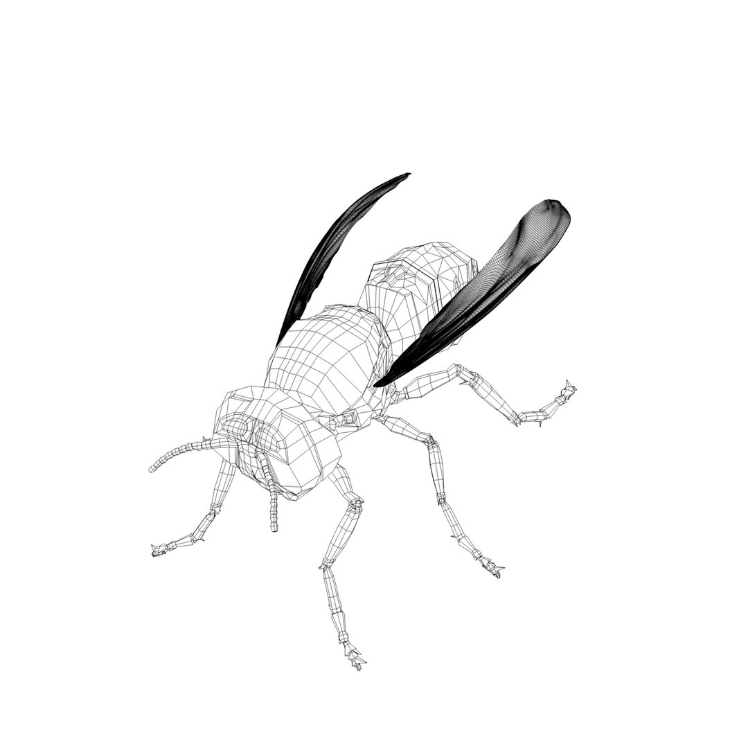3d vespula vulgaris https://p.turbosquid.com/ts-thumb/Lm/F3sIXS/z7twML5g/vespulavulgarisv2gfcmwire01d/jpg/1317736822/1920x1080/fit_q87/a0a6521616fe34c077fd38b5b1681783479e2d58/vespulavulgarisv2gfcmwire01d.jpg