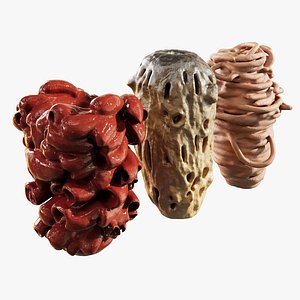 3D Vases model