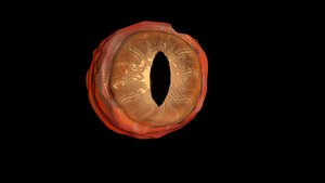 evil eye 3D model