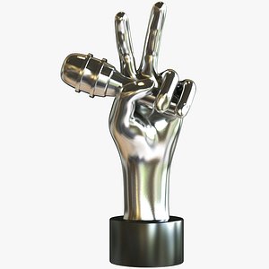 3D The Voice Hand Award