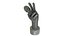 Prêmio The Voice Hand