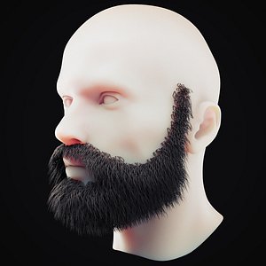 Beard Low Poly 8