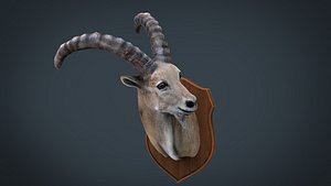 WILD GOAT TROPHY