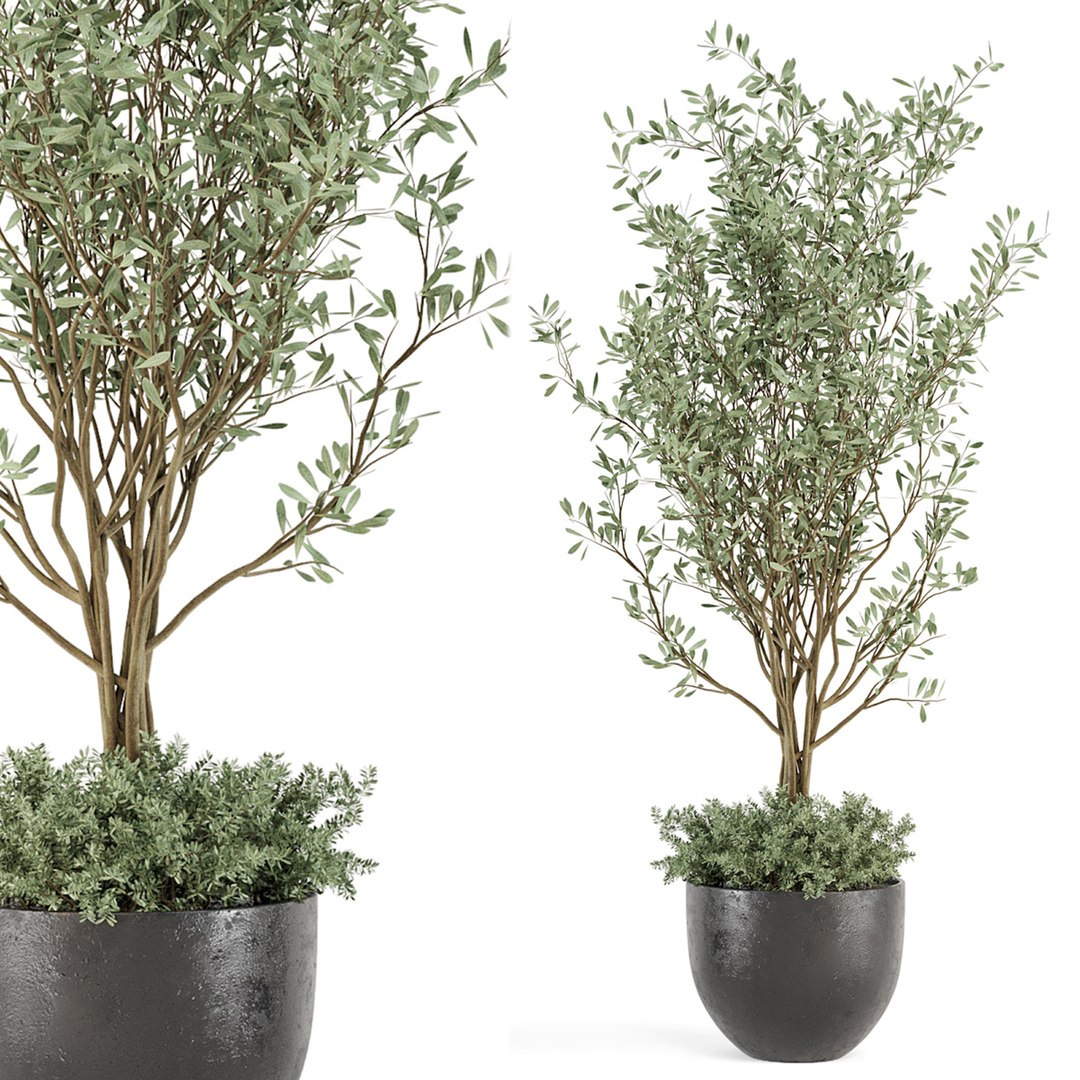 Outdoor Bush And Tree In Rusty Concrete Pot 3D Model - TurboSquid 2154401