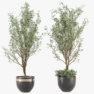 Outdoor bush and Tree in rusty Concrete Pot 3D model